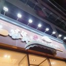 삼구트리니엔건너 이미지