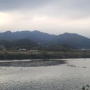 선소로3 이미지