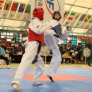 VIP태권도 이미지