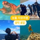 자유여행 3박 5일 일정 : 돌고래 발리카삭 거북이 푼톳 열대어 스노클링 투어 (한바다 호핑 내돈내산) 후기