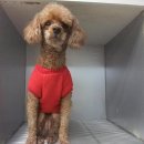 파란종합 동물병원 이미지