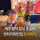 제주 함덕 감성 혼술집 빈티지와인바 트리피덕 방문 후기