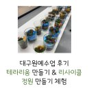 원예 테라리움 | 대구원예수업 후기｜테라리움 만들기 &amp; 리사이클 정원 만들기 체험