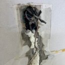 성북-길음-3615 이미지