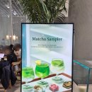 1979 | 오설록 티하우스 1979점 특별 메뉴 후기 | 사진이랑 달라서 더 놀랐던이유