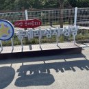 공세리성지성당 박물관 | 아산 공세리성당 공세리성지박물관 성지술례 필수코스 다녀왔어요