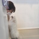 아로멍 이미지
