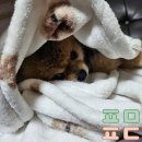 웰니스클리닉(청계천점) 이미지