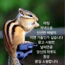 ☆한글날 바뀐 철자법 확인 ♧ 이미지