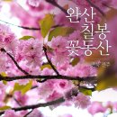 5월11일 완산칠봉 꽃동산&amp; 완주 공기마을 편백숲트래킹 이미지
