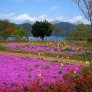 요산마을 이미지