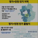 하남펫택시 이미지