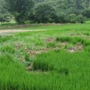 산유리 마을회관 이미지