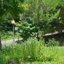 배론농장 이미지