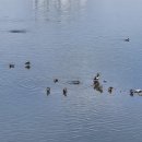 유수지근린공원 이미지