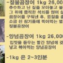 원조기장곰장어 이미지