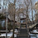 광교 푸른숲도서관 이미지