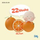 승진세차 | [ 3~4월 ] 몸이 점점 무거워져요ㅠ