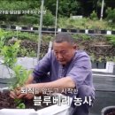 사노라면 - 강릉시 항구윗길 6 | 사노라면