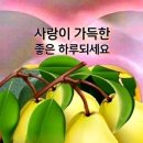 오늘은좋은날 - 마포구 도화길 50-10 | 오늘은좋은날