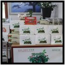 범바우막국수 이미지