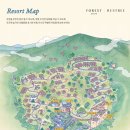 포레스트리솜 이미지