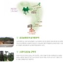 8.24(토)~25(일)/한국의 차마고도 금강소나무숲&백두대간 협곡열차 신청하세요 이미지