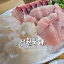 서원 | 신림 횟집 물회 맛집 서원물회 방어회 과메기 솔직후기