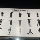 연세복싱 이미지