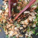 한강오리쌈나루 이미지