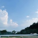 홈런카페 이미지