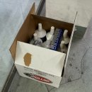 수컷웅샵 이미지