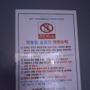 사기막골로 62번길 네이버블로그