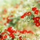 하늘과바람의호수 이미지