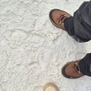 홍천테마파크 | 겨울 테마파크 홍천 비발디파크 눈썰매장 스노위랜드 평일 방문 후기