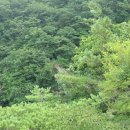 서대산 추모공원 이미지