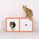 더 크린 이미지