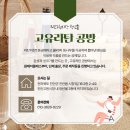 고유라탄공방