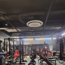 머슬엑스짐 이미지