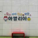 태안 풀빌라 추천, 아이와 다녀온 아멜리아 풀빌라 솔직 후기