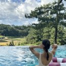 솔라고 골프연습장 (파3) 이미지