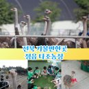 영농조합법인 행복한 타조농장 | 정읍 가볼만한곳 전북 아이와 동물체험 행복한 타조농장체험