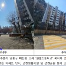 한국1차 이미지