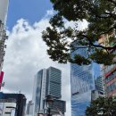 세븐일레븐 고대본점 | 2025년 9월 도쿄여행 2일차 | 새벽까지 시부야 여기저기, 스크램블교차로, 미나토구 텐푸라 오마카세...