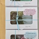 동신초등학교(병설유치원 포함) | 경북김천 친환경공예 제스모나이트 출강 김천동신초 병설유치원 보호자연수