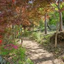 일림산 등산로 화장실 | 전남 보성 일림산 등산코스, 철쭉 명산, 용추계곡~정상 최단코스 및 철쭉군락지 산행 이야기 ( 주차장 )
