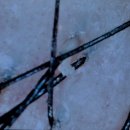 동신 헤어샵 | 두피 각질·열감·가려움… 샴푸로 해결 안 되는 이유 (두피케어 후기)