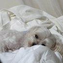 오께사세탁소 | 일상｜2022년 09월