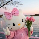 취준일기(4)+이븐아이 수강후기