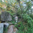 남해군 설흘산 어게인 (250801) 이미지